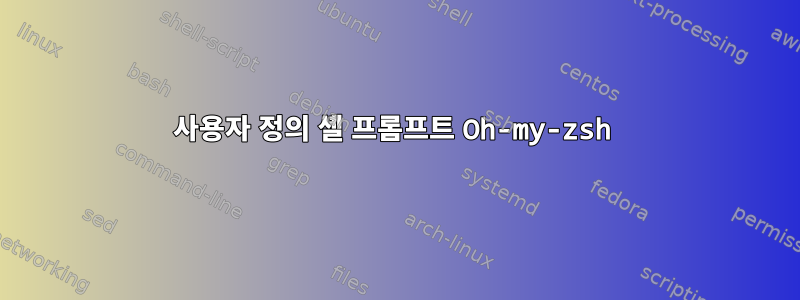 사용자 정의 셸 프롬프트 Oh-my-zsh