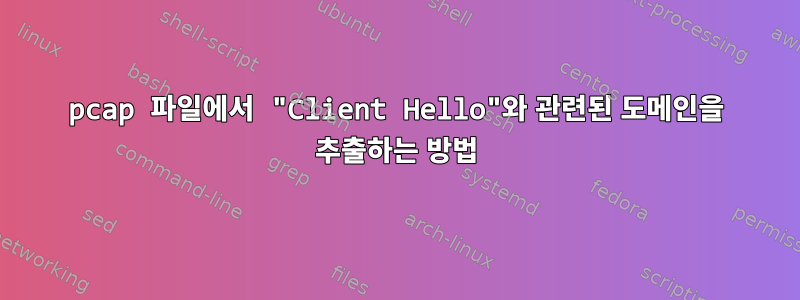 pcap 파일에서 "Client Hello"와 관련된 도메인을 추출하는 방법