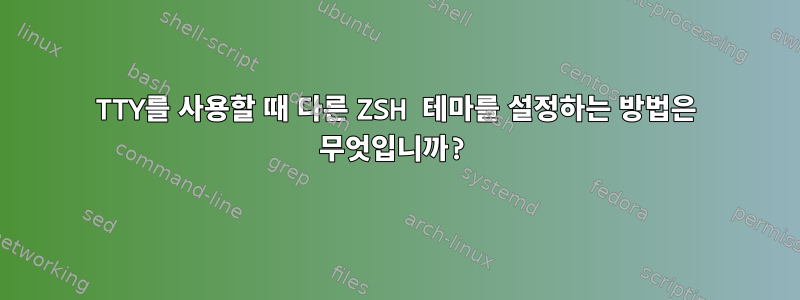 TTY를 사용할 때 다른 ZSH 테마를 설정하는 방법은 무엇입니까?