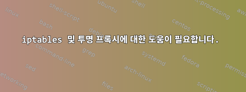 iptables 및 투명 프록시에 대한 도움이 필요합니다.