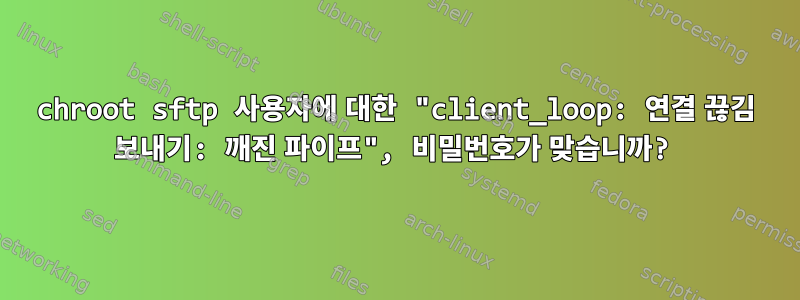 chroot sftp 사용자에 대한 "client_loop: 연결 끊김 보내기: 깨진 파이프", 비밀번호가 맞습니까?