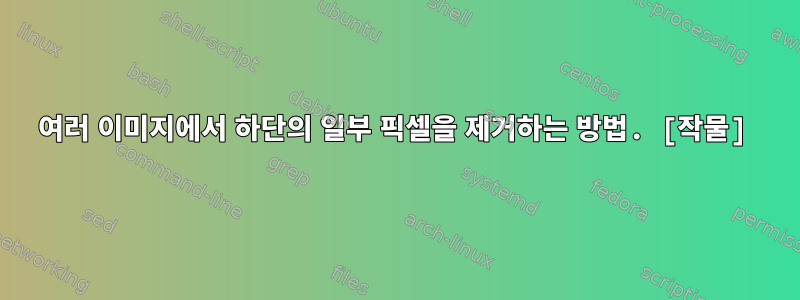 여러 이미지에서 하단의 일부 픽셀을 제거하는 방법. [작물]