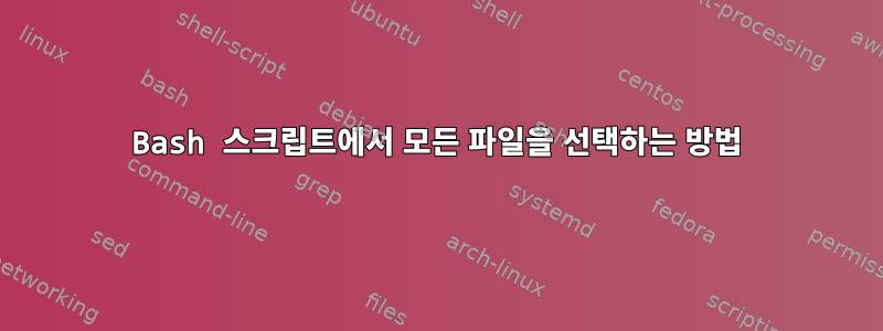 Bash 스크립트에서 모든 파일을 선택하는 방법