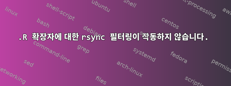 .R 확장자에 대한 rsync 필터링이 작동하지 않습니다.