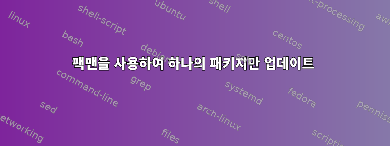 팩맨을 사용하여 하나의 패키지만 업데이트