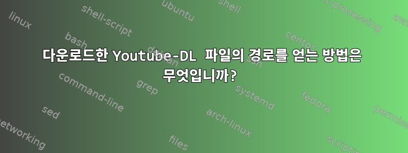 다운로드한 Youtube-DL 파일의 경로를 얻는 방법은 무엇입니까?