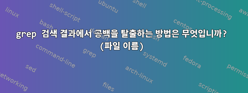 grep 검색 결과에서 공백을 탈출하는 방법은 무엇입니까? (파일 이름)