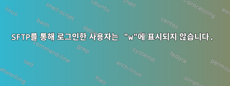 SFTP를 통해 로그인한 사용자는 "w"에 표시되지 않습니다.