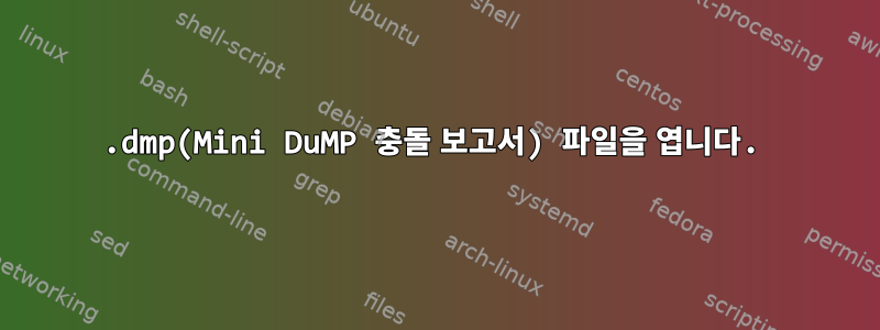 .dmp(Mini DuMP 충돌 보고서) 파일을 엽니다.