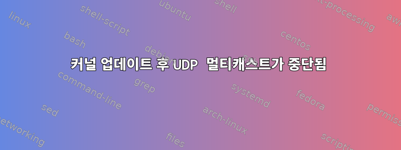 커널 업데이트 후 UDP 멀티캐스트가 중단됨