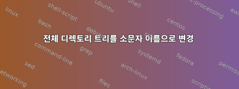 전체 디렉토리 트리를 소문자 이름으로 변경