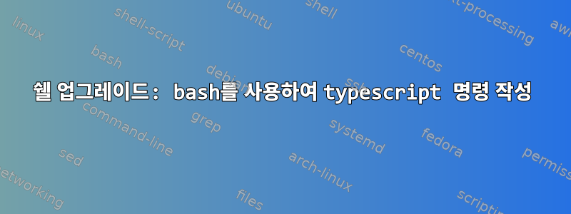 쉘 업그레이드: bash를 사용하여 typescript 명령 작성