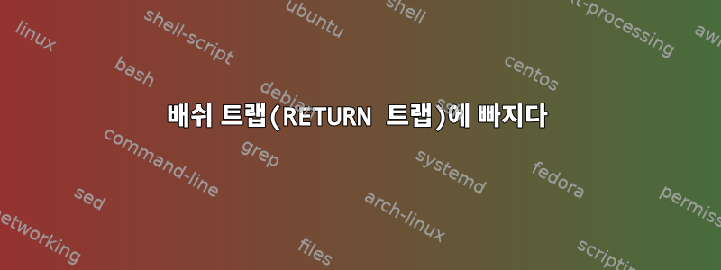 배쉬 트랩(RETURN 트랩)에 빠지다