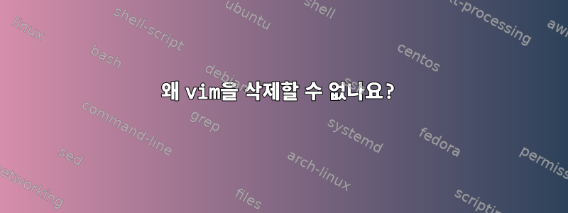 왜 vim을 삭제할 수 없나요?