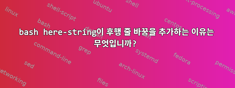 bash here-string이 후행 줄 바꿈을 추가하는 이유는 무엇입니까?