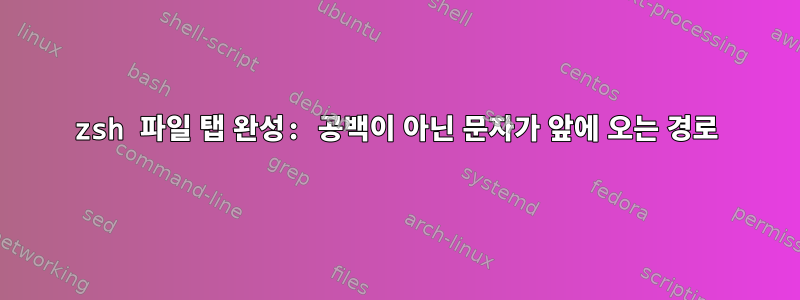 zsh 파일 탭 완성: 공백이 아닌 문자가 앞에 오는 경로