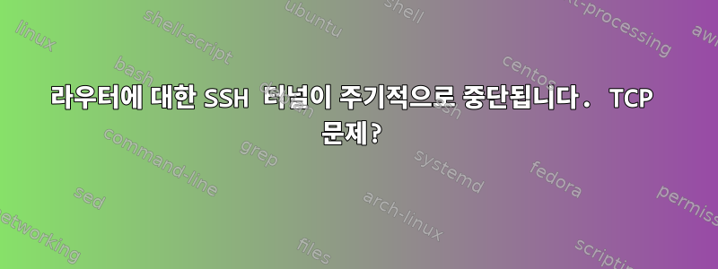 라우터에 대한 SSH 터널이 주기적으로 중단됩니다. TCP 문제?