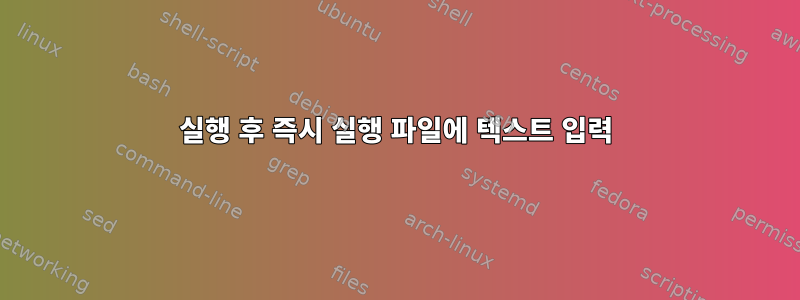 실행 후 즉시 실행 파일에 텍스트 입력