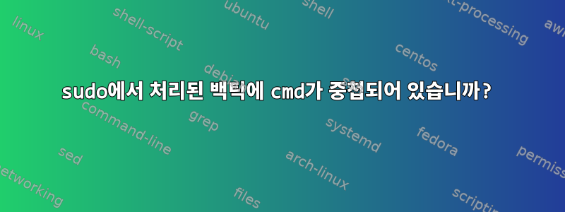 sudo에서 처리된 백틱에 cmd가 중첩되어 있습니까?