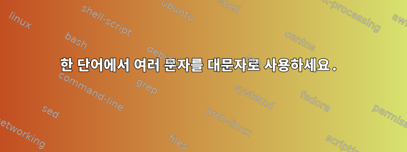 한 단어에서 여러 문자를 대문자로 사용하세요.