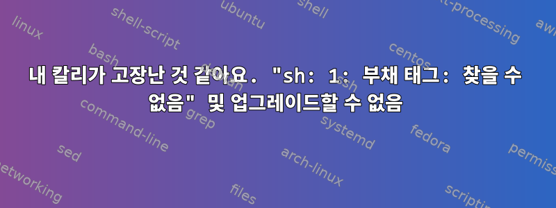 내 칼리가 고장난 것 같아요. "sh: 1: 부채 태그: 찾을 수 없음" 및 업그레이드할 수 없음