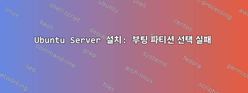 Ubuntu Server 설치: 부팅 파티션 선택 실패