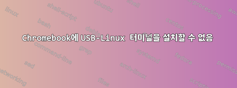 Chromebook에 USB-Linux 터미널을 설치할 수 없음