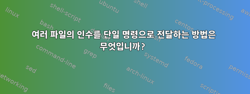 여러 파일의 인수를 단일 명령으로 전달하는 방법은 무엇입니까?