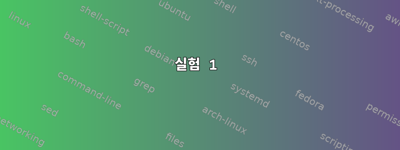 실험 1