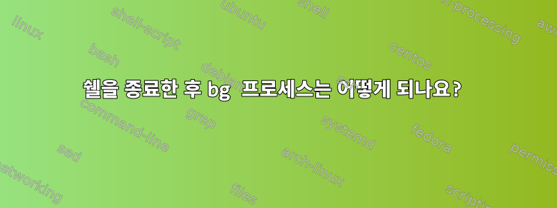 쉘을 종료한 후 bg 프로세스는 어떻게 되나요?