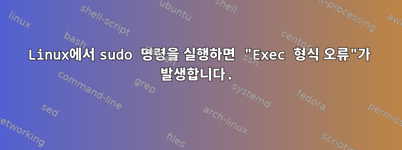 Linux에서 sudo 명령을 실행하면 "Exec 형식 오류"가 발생합니다.