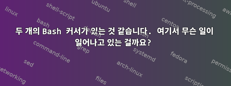 두 개의 Bash 커서가 있는 것 같습니다. 여기서 무슨 일이 일어나고 있는 걸까요?