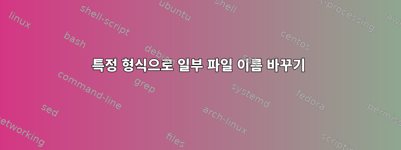 특정 형식으로 일부 파일 이름 바꾸기