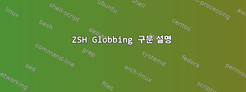 ZSH Globbing 구문 설명