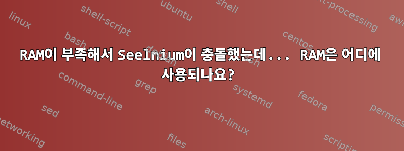 RAM이 부족해서 Seelnium이 충돌했는데... RAM은 어디에 사용되나요?