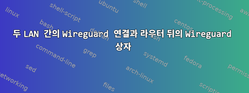 두 LAN 간의 Wireguard 연결과 라우터 뒤의 Wireguard 상자