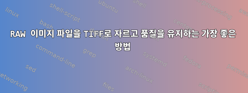 RAW 이미지 파일을 TIFF로 자르고 품질을 유지하는 가장 좋은 방법