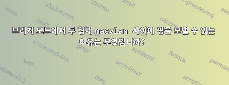 브리지 모드에서 두 형제 macvlan 사이에 핑을 보낼 수 없는 이유는 무엇입니까?