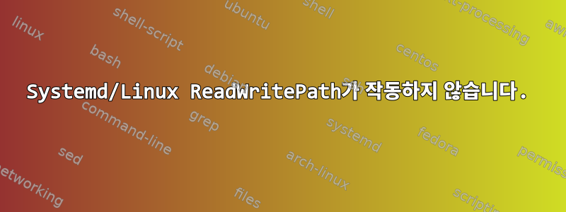 Systemd/Linux ReadWritePath가 작동하지 않습니다.