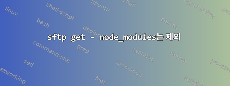 sftp get - node_modules는 제외