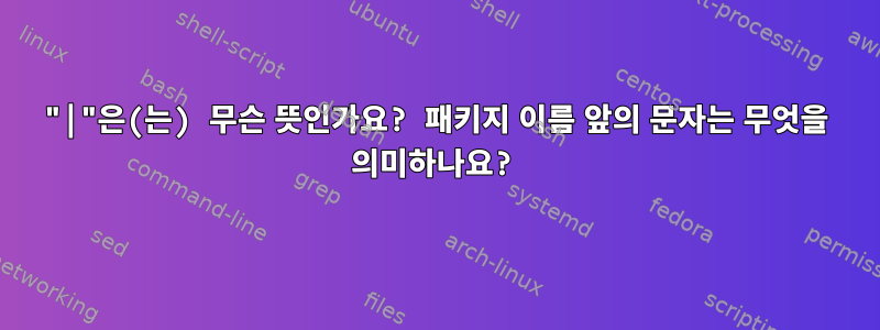 "|"은(는) 무슨 뜻인가요? 패키지 이름 앞의 문자는 무엇을 의미하나요?