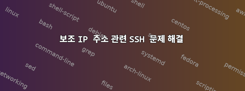 보조 IP 주소 관련 SSH 문제 해결