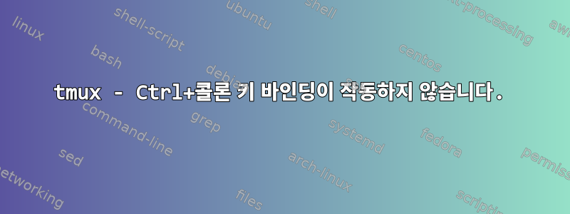 tmux - Ctrl+콜론 키 바인딩이 작동하지 않습니다.