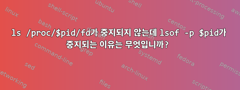 ls /proc/$pid/fd가 중지되지 않는데 lsof -p $pid가 중지되는 이유는 무엇입니까?