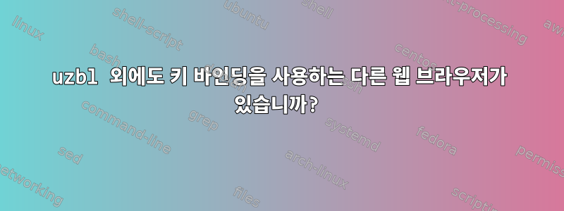 uzbl 외에도 키 바인딩을 사용하는 다른 웹 브라우저가 있습니까?