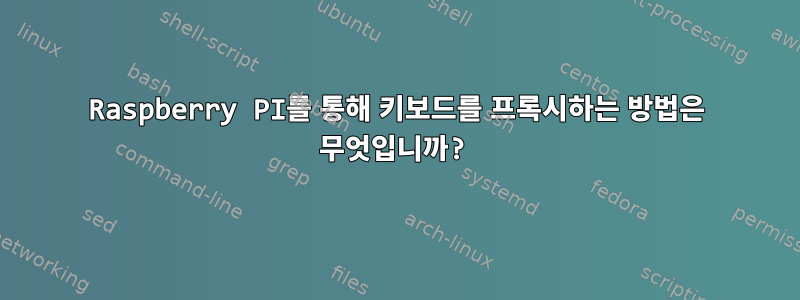 Raspberry PI를 통해 키보드를 프록시하는 방법은 무엇입니까?