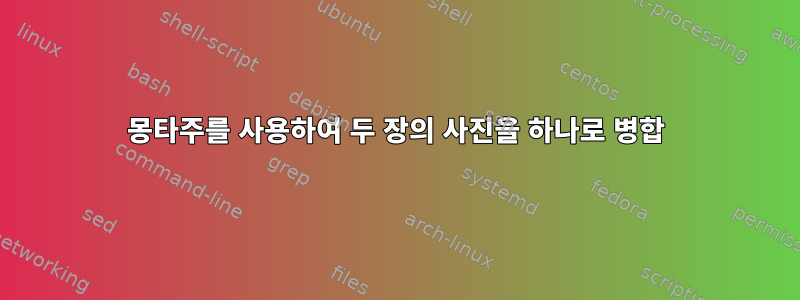 몽타주를 사용하여 두 장의 사진을 하나로 병합