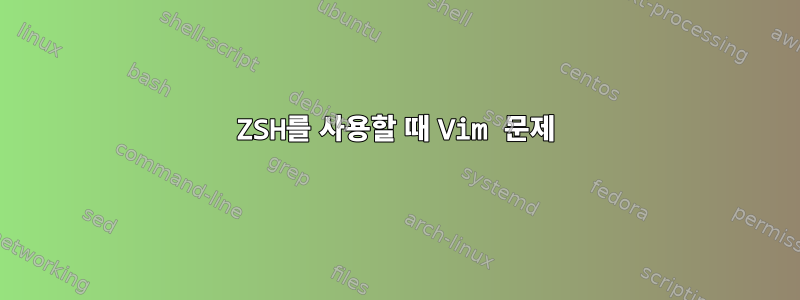 ZSH를 사용할 때 Vim 문제