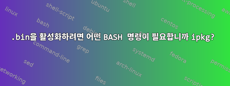 .bin을 활성화하려면 어떤 BASH 명령이 필요합니까 ipkg?