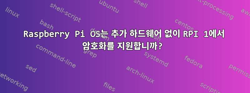 Raspberry Pi OS는 추가 하드웨어 없이 RPI 1에서 암호화를 지원합니까?